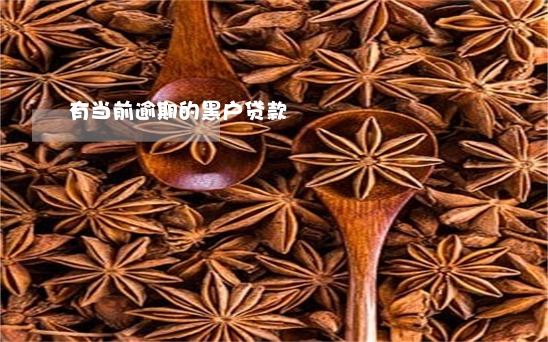 有当前逾期的黑户贷款 有当前逾期的黑户贷款