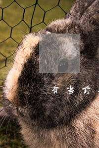 有当前逾期秒下款 有当前逾期秒下款