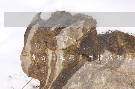 有当前逾期美团借钱能过吗 有当前逾期美团借钱能过吗