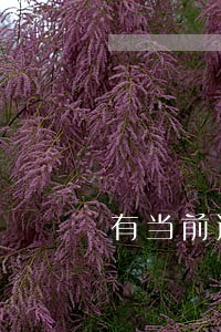 有当前逾期美团还可以贷款吗 有当前逾期美团还可以贷款吗