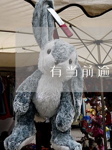 有当前逾期能下款 有当前逾期能下款