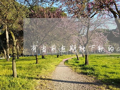 有当前逾期能下款的app6 有当前逾期能下款的app6