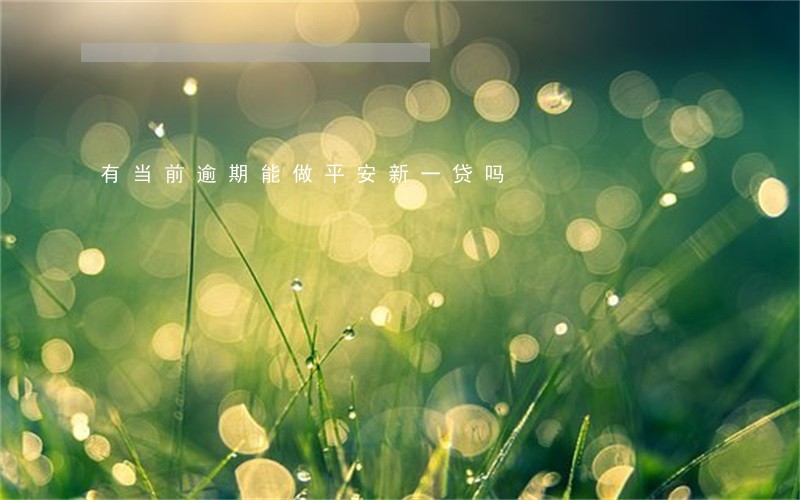 有当前逾期能做平安新一贷吗 有当前逾期能做平安新一贷吗