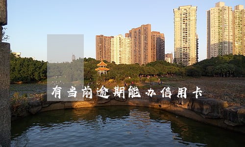 有当前逾期能办信用卡 有当前逾期能办信用卡