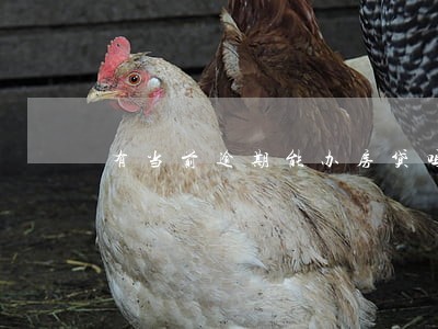 有当前逾期能办房贷吗 有当前逾期能办房贷吗