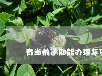有当前逾期能办理车贷吗
