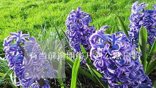 有当前逾期能开对公账户吗 有当前逾期能开对公账户吗