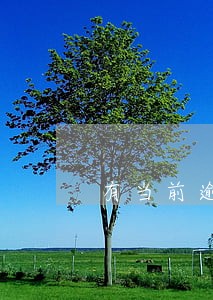 有当前逾期能房产抵押吗 有当前逾期能房产抵押吗