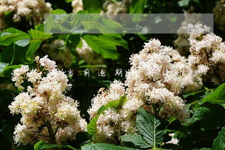 有当前逾期能用捷信吗 有当前逾期能用捷信吗