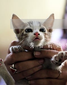 有当前逾期能申请佰仟吗 有当前逾期能申请佰仟吗