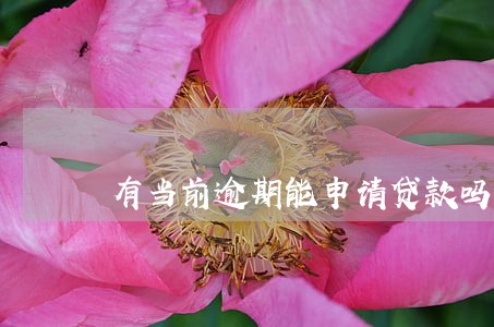 有当前逾期能申请贷款吗 有当前逾期能申请贷款吗