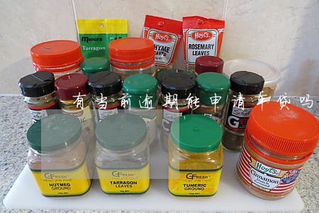 有当前逾期能申请车贷吗 有当前逾期能申请车贷吗