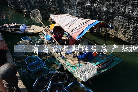 有当前逾期能贷房产抵押贷款 有当前逾期能贷房产抵押贷款