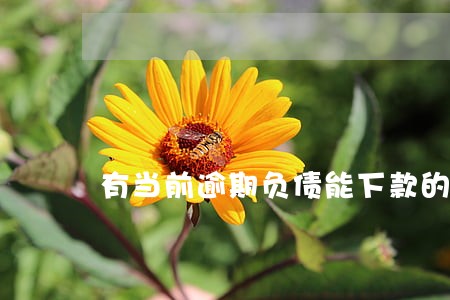 有当前逾期负债能下款的口子 有当前逾期负债能下款的口子
