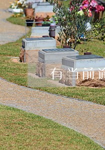 有当前逾期还可以申请信用卡吗
