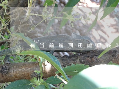 有当前逾期还能借钱吗 有当前逾期还能借钱吗