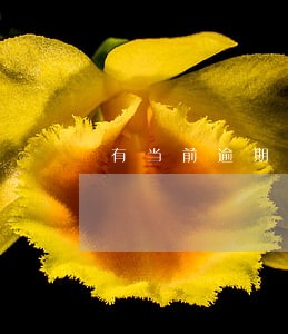 有当前逾期还能做车抵贷吗 有当前逾期还能做车抵贷吗