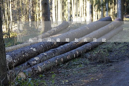 有当月逾期怎么货款 有当月逾期怎么货款