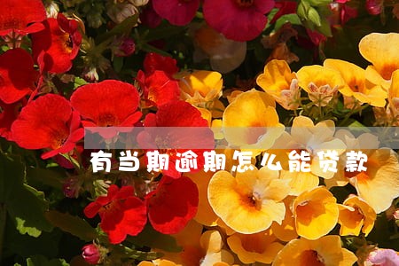 有当期逾期怎么能贷款 有当期逾期怎么能贷款