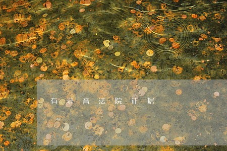 有录音法院证据 有录音法院证据