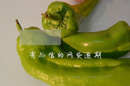 有征信的网贷逾期