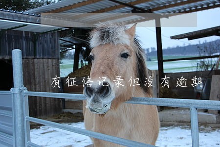 有征信记录但没有逾期 有征信记录但没有逾期