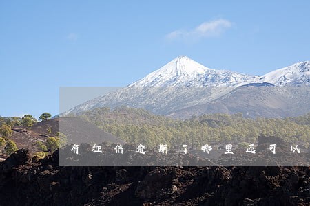 有征信逾期了哪里还可以借钱 有征信逾期了哪里还可以借钱