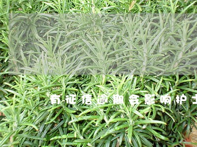 有征信逾期会影响护士资格证吗 有征信逾期会影响护士资格证吗