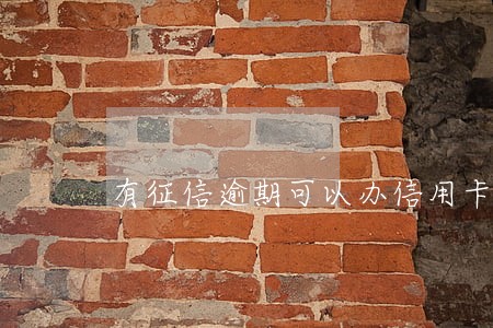 有征信逾期可以办信用卡吗