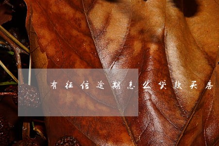 有征信逾期怎么贷款买房 有征信逾期怎么贷款买房