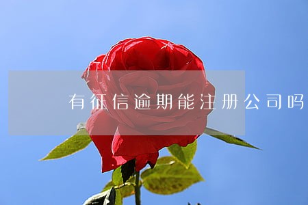 有征信逾期能注册公司吗 有征信逾期能注册公司吗