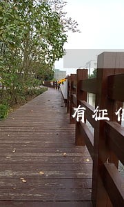 有征信逾期记录可以开直播吗