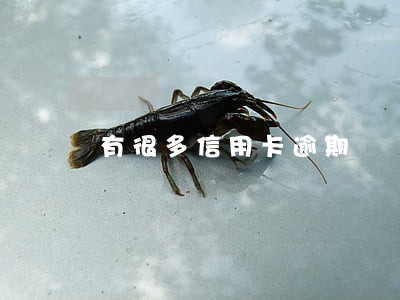 有很多信用卡逾期 有很多信用卡逾期