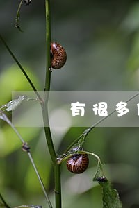 有很多借款但是没有逾期 有很多借款但是没有逾期