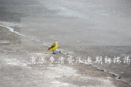有很多借贷没逾期能按揭买房 有很多借贷没逾期能按揭买房