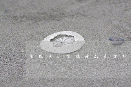 有很多小贷但是从未逾期 有很多小贷但是从未逾期