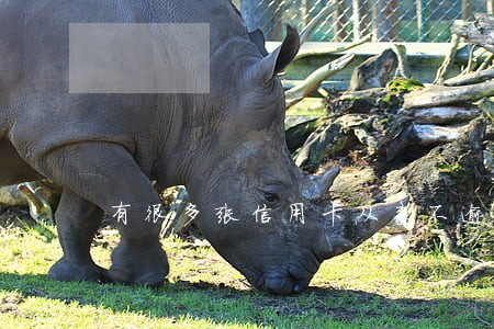有很多张信用卡从来不逾期