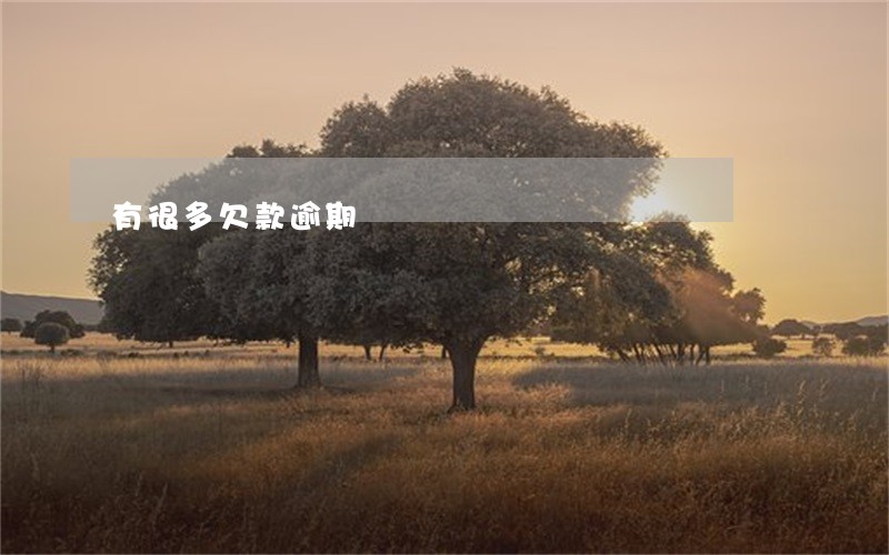 有很多欠款逾期
