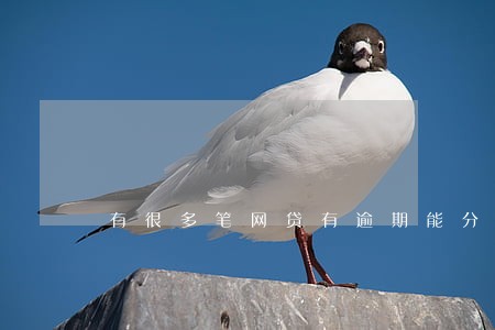 有很多笔网贷有逾期能分期买车吗 有很多笔网贷有逾期能分期买车吗
