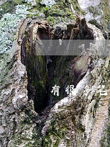 有很多笔贷款但是都没有逾期 有很多笔贷款但是都没有逾期