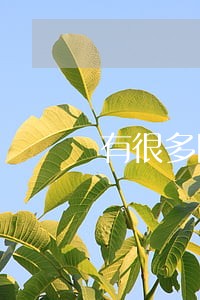 有很多网贷逾期还可以借嘛 有很多网贷逾期还可以借嘛