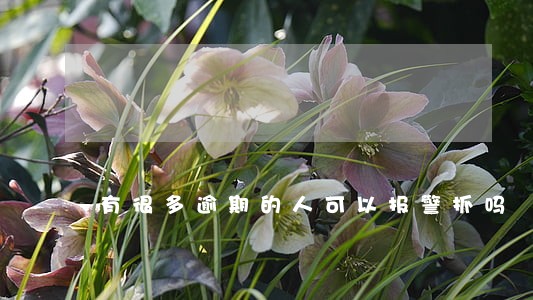 有很多逾期的人可以报警抓吗 有很多逾期的人可以报警抓吗
