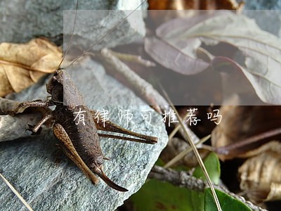 有律师可推荐吗