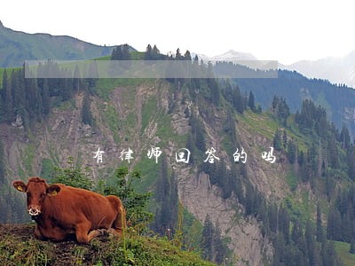 有律师回答的吗 有律师回答的吗