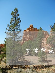 有律师证不在律所能接案子吗 有律师证不在律所能接案子吗