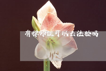 有律师证可以去法检吗 有律师证可以去法检吗