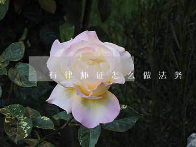 有律师证怎么做法务 有律师证怎么做法务