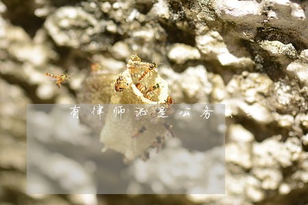 有律师证是公务员吗 有律师证是公务员吗