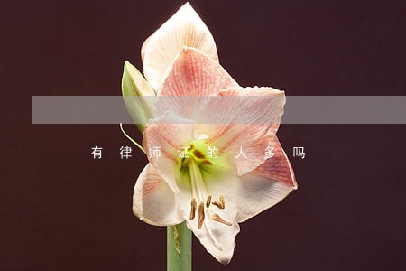 有律师证的人多吗 有律师证的人多吗