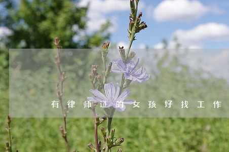 有律师证的女孩好找工作吗 有律师证的女孩好找工作吗